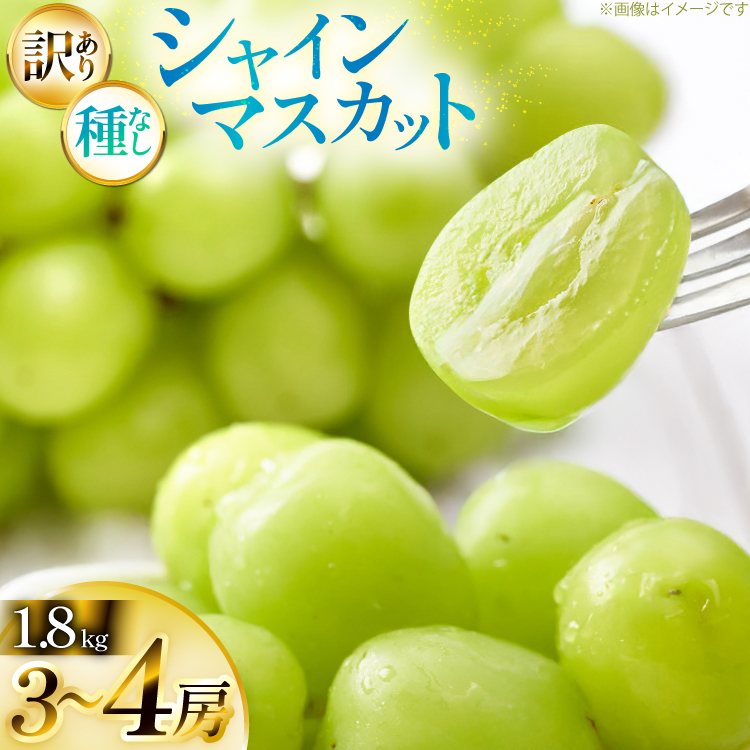 yԌ蔭z VC}XJbg 󂠂 3~4[ 1.8kg [Yamagent[cK[fRg R`  tk06ayt380004] ƒp Ԃǂ uhE  t[c ʕ  1.8L ÂR`