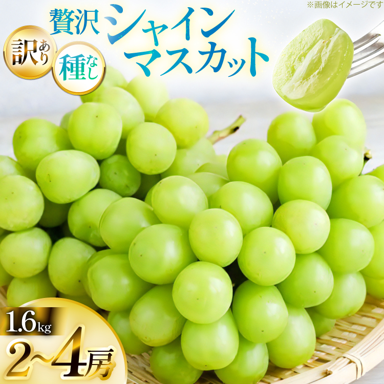 yԌ蔭z VC}XJbg 󂠂 ґ{[ Zbg 2`4[ 1.6kg [Yamagent[cK[fRg R`  tk06ayt380005] ƒp Ԃǂ uhE  t[c ʕ 