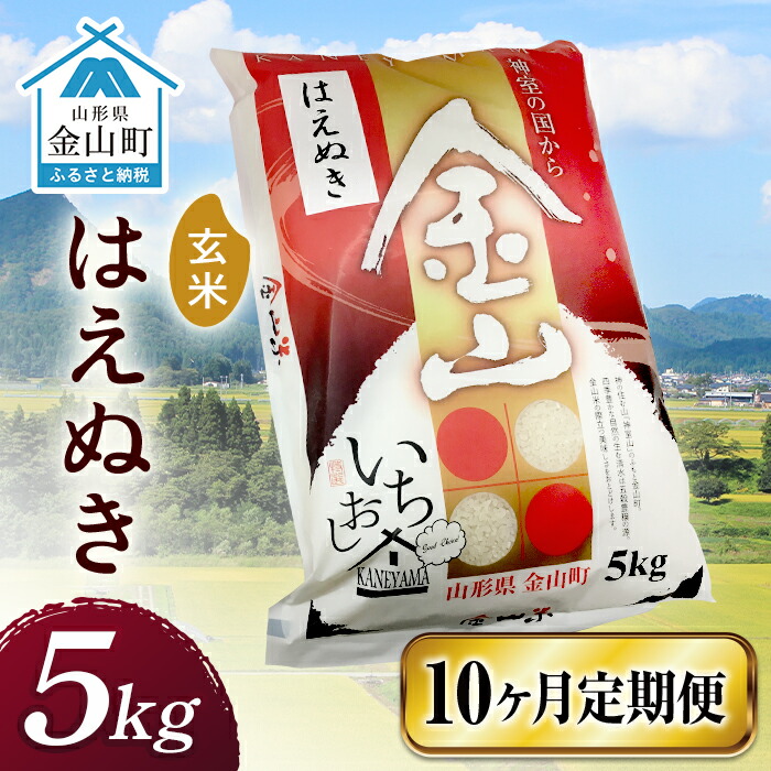 ߘa6NYsցt RY ͂ʂyāzi5kgj×10v50kg  10     uh  k R` R F4B-0528R`R98500āEpāEGāEāE