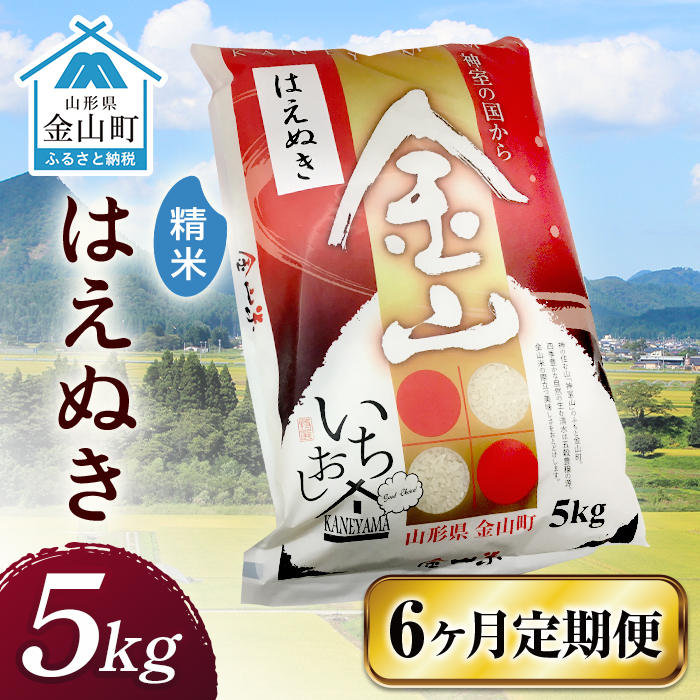 令和7年産 金山産米 はえぬき 【精米】(5kg)×6ヶ月  計30kg 定期便 米 お米 白米 ご飯 精米 ブランド米  東北 山形 金山町 F4B-0643山形県金山町138000米・パン白米