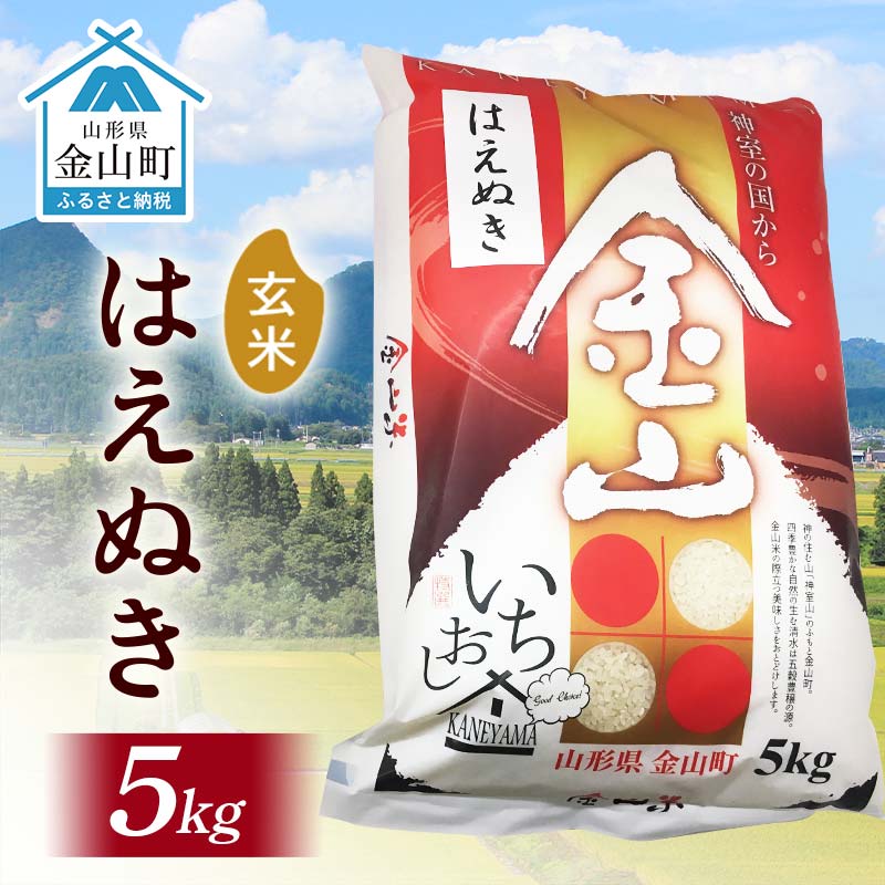 令和6年産 金山産米 はえぬき 【玄米】(5kg)米 お米 ご飯 玄米 ブランド米  東北 山形 金山町 F4B-0563山形県金山町10500米・パン玄米・雑穀米・もち米・餅