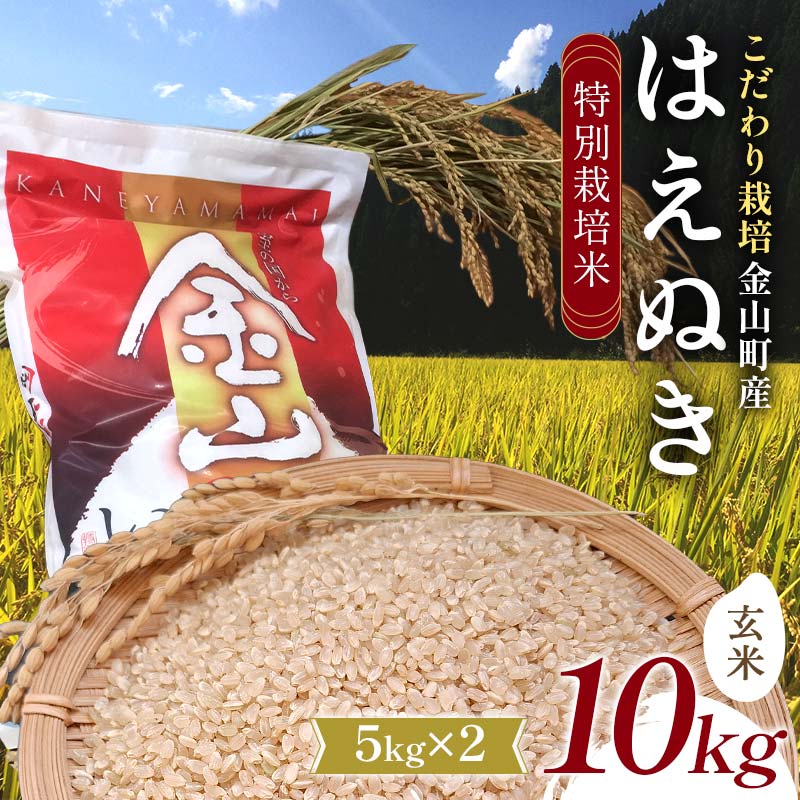 ys\ ߘa7NYz RY ʍ͔| ͂ʂ  5kg×2(10kg)    uh F4B-0608R`R27000āEpāEGāEāE