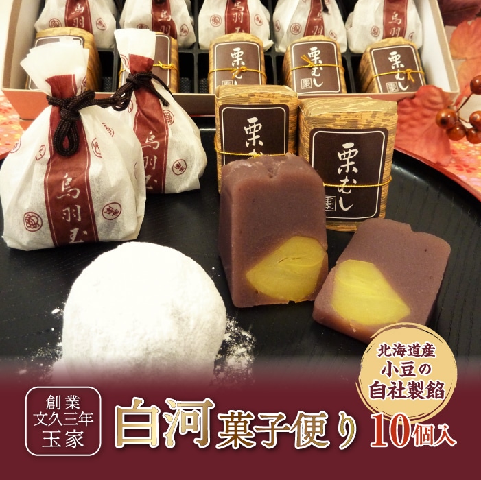 創業文久三年 玉家 白河菓子便り F21R-008福島県白河市9000菓子・スイーツ