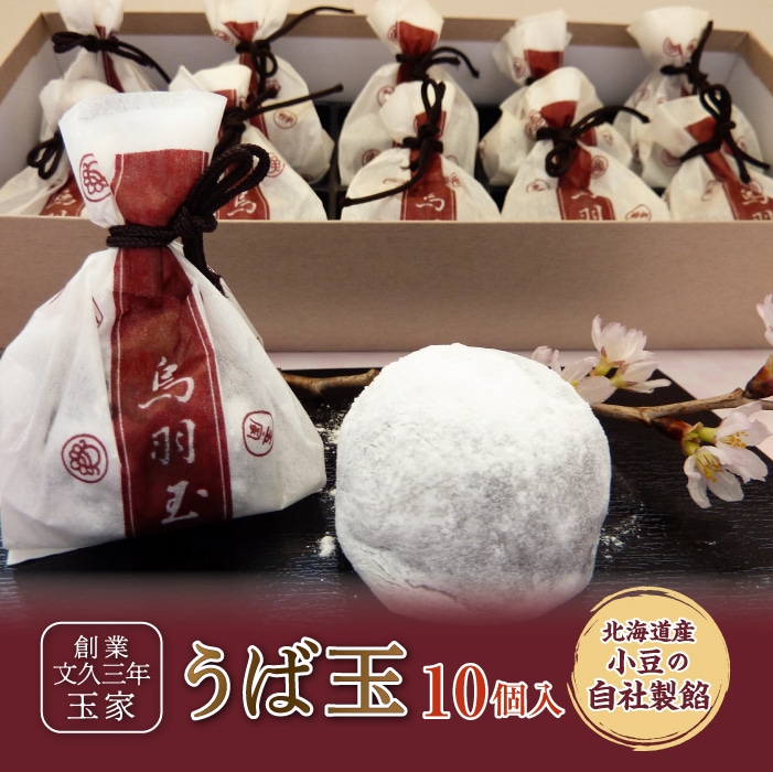 創業文久三年 玉家 うば玉10個入 F21R-011福島県白河市8000菓子・スイーツその他 和菓子