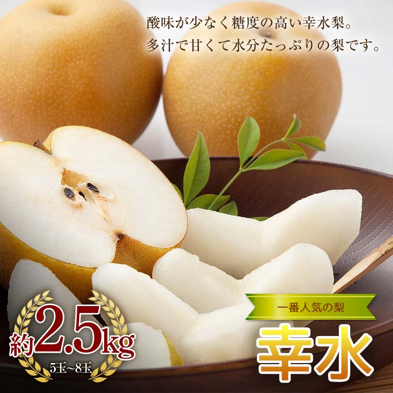 《2026年秋出荷》一番人気の梨 幸水 約2.5kg(5〜8玉) F24R-118福島県白河市9000果物・フルーツりんご・梨