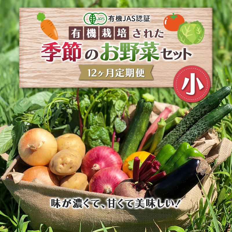 《有機JAS認証》オーガニック 季節のお野菜セット(小)定期便 12ヶ月連続 F21R-867福島県白河市106000野菜・きのこ