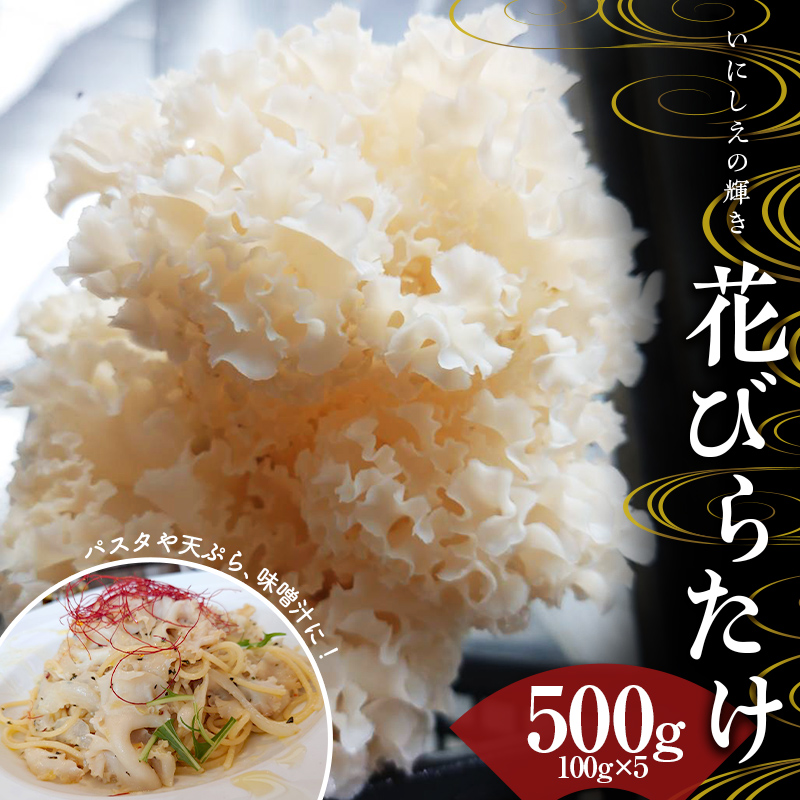 いにしえの輝き花びらたけ 500g(100g×5パック) F23R-613福島県白河市8000野菜・きのこきのこ