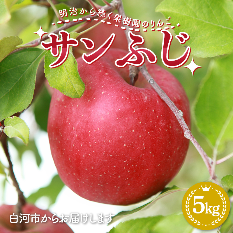 瑱ʎ̂񂲁uTӂv5kgi12`18ʁj  S ь ʕ  t[c  ͎s F23R-813͎s16000ʕEt[c