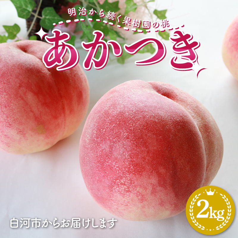 明治から続く果樹園の桃「あかつき」2kg(6〜7玉) 桃 モモ もも 果物 くだもの フルーツ 福島県 白河市 F23R-815福島県白河市8000果物・フルーツ