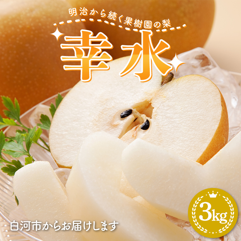 明治から続く果樹園の梨「幸水」3kg(8〜13玉) なし 果物 くだもの デザート ギフト ナシ 甘い フルーツ 福島県 白河市 F23R-821福島県白河市10000果物・フルーツ