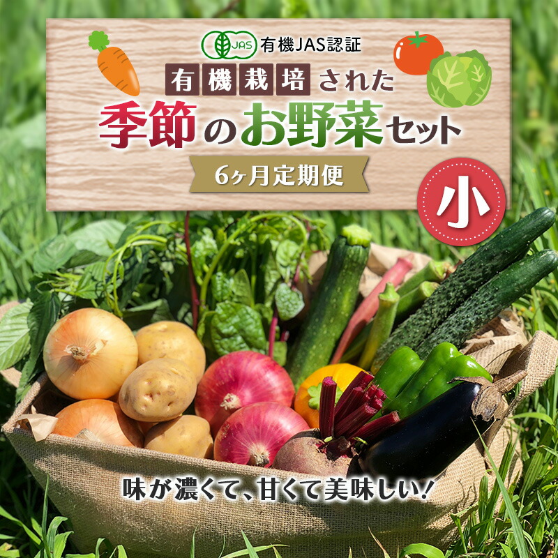 《有機JAS認証》オーガニック 季節のお野菜セット(小)定期便 6ヶ月連続 F23R-830福島県白河市48000野菜・きのこ