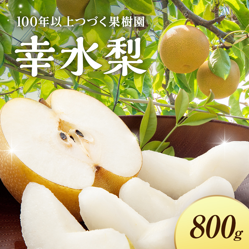 <2026年秋出荷>一番人気の梨 幸水 2玉 F24R-125福島県白河市6000果物・フルーツりんご・梨