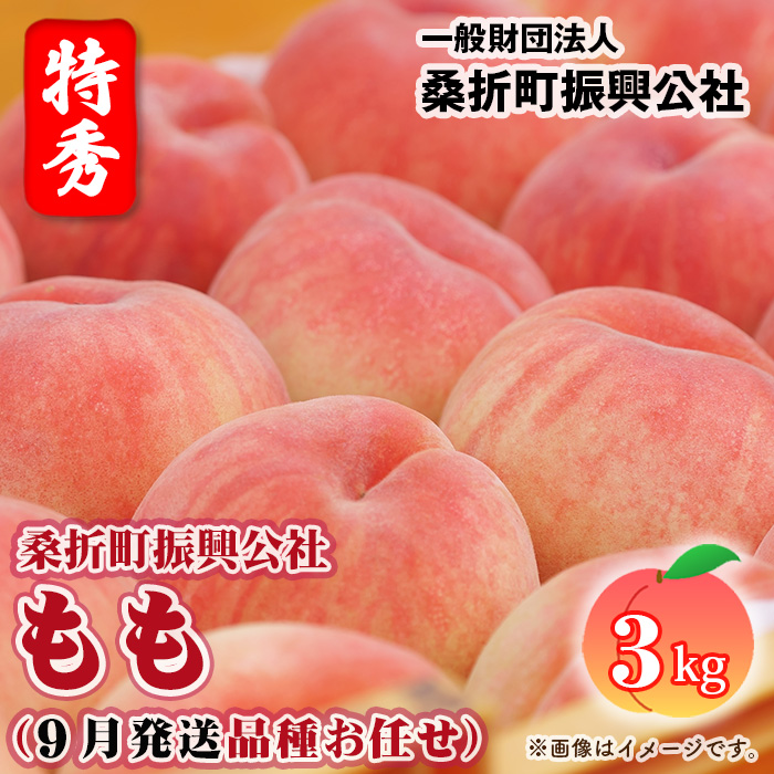 もも【2026年産9月発送/品種おまかせ/先行受付】特秀3kg(8〜11玉)桑折町振興公社福島県桑折町21000果物・フルーツもも・すもも