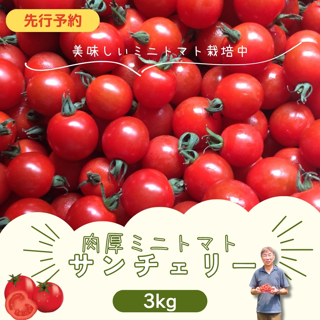 ys\z~jg}g T`F[ 3kg 2026N7 e g}g v`g}g VN  _ƒ 3L   Mtg  v[g  cs c 悵̂_@N0