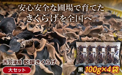 yIzÎY炰Zbg F4D-0228Ò20000؁Ê̂
