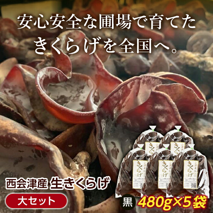 yԌzÎY炰Zbg F4D-0233Ò10000؁Ê̂