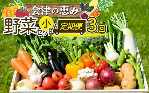 《定期便》<3市町村共通返礼品>会津の恵み野菜セット(小)《全3回》 朝採れ 野菜 お米 精米 米 セット 詰合せ 契約農家 朝採り 採れたて 新鮮 会津野菜 定期便 3回 3ヶ月 連続 F4D-1411福島県