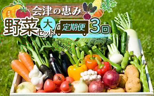 《定期便》<3市町村共通返礼品>会津の恵み野菜セット(大)《全3回》 朝採れ 野菜 お米 精米 米 セット 詰合せ 契約農家 朝採り 採れたて 新鮮 会津野菜 定期便 3回 3ヶ月 連続 F4D-1414福島県