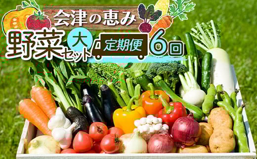 《定期便》<3市町村共通返礼品>会津の恵み野菜セット(大)《全6回》 朝採れ 野菜 お米 精米 米 セット 詰合せ 契約農家 朝採り 採れたて 新鮮 会津野菜 定期便 6回 6ヶ月 連続 F4D-1415福島県