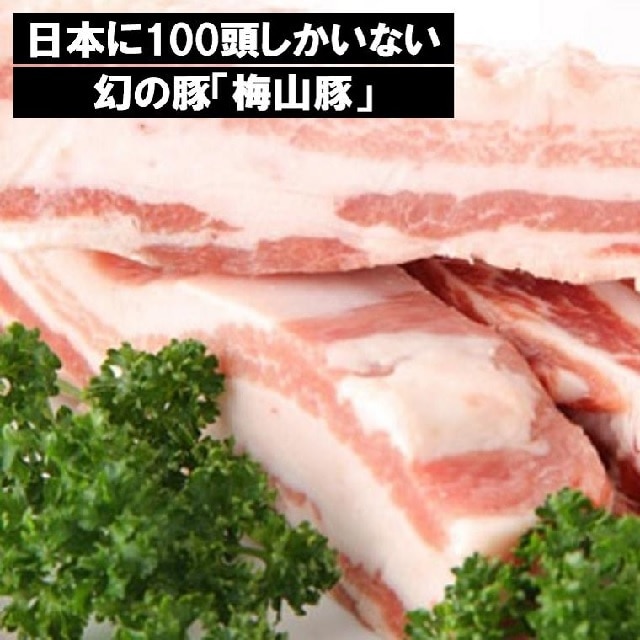 ˌq̌̓؁u~R؁voubN 4.5kg錧72000ؓ