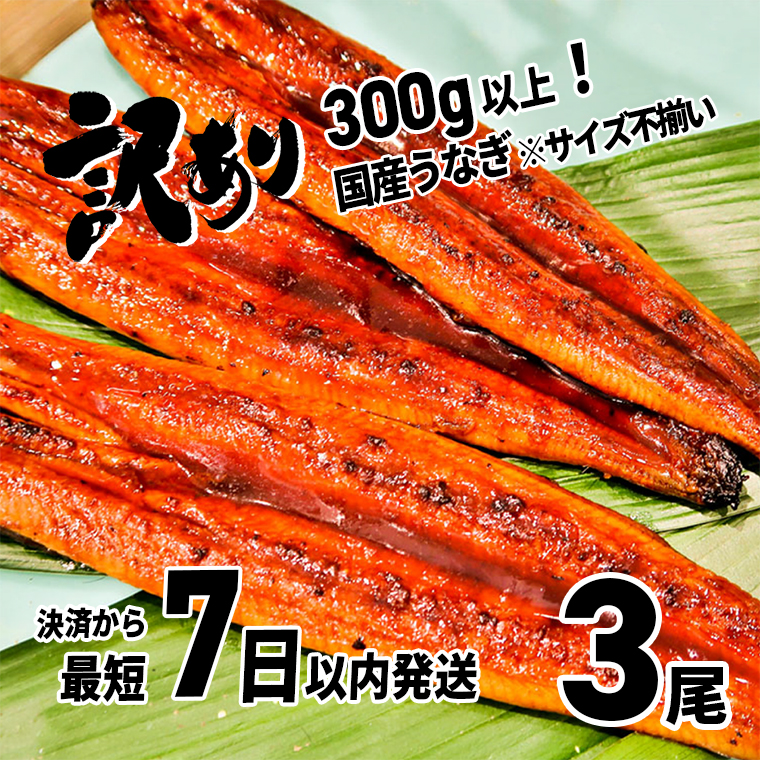 〈7日以内発送〉【訳あり】さかい河岸水産の国産うなぎ3尾 300g以上! ※サイズ不揃い茨城県境町12000魚介・海産物うなぎ