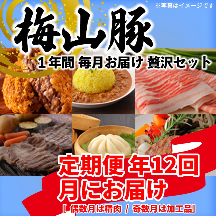 【12回毎月定期便】塚原牧場の幻の豚「梅山豚」の贅沢定期便  ブランド豚 メイシャントン 境町茨城県境町183000肉