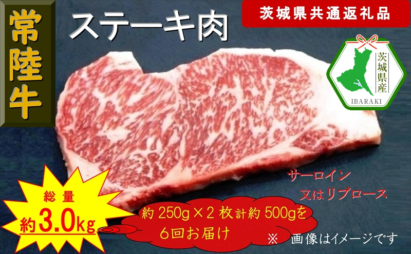 【6か月定期便】【常陸牛】ステーキ用肉 約500g【定期便】計6回 総量約3,000g(茨城県共通返礼品)【常陸牛 茨城県産 日立市】茨城県日立市129000肉牛肉