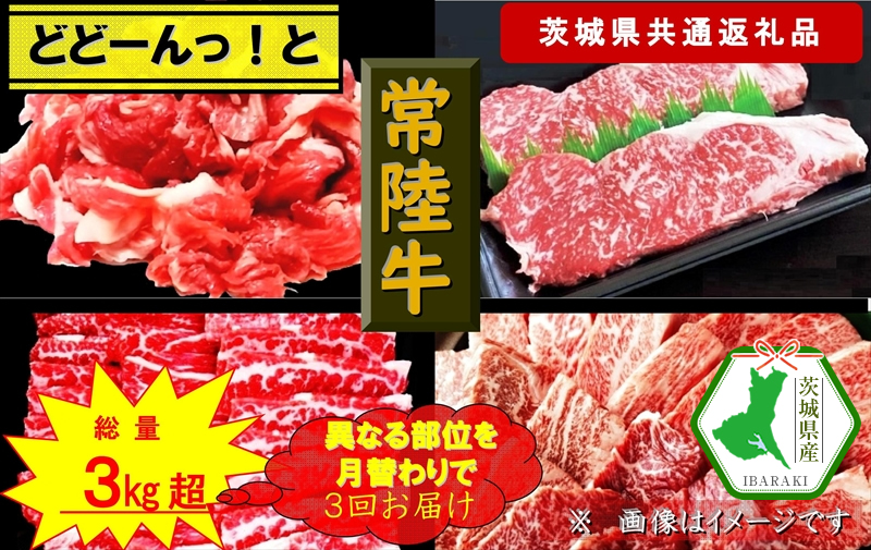 y3ցzy헤zǂǁ[IƏ헤yւňقȂ镔ʂ͂ցz v3 dʖRkgi錧ʕԗijy헤@錧Y@sz錧s79000