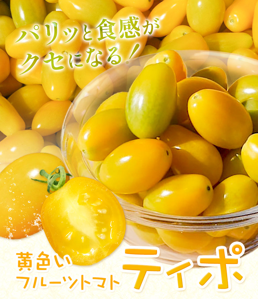 パリッと食感の黄色いフルーツトマト ティポ 1.8kg (1箱) ジャム さっぱり 黄色い トマト 野菜 茨城県産 結城市産 国産 さっぱり 酸味が少ない 日持ち 食材 サラダ トッピング 料理《10月中旬