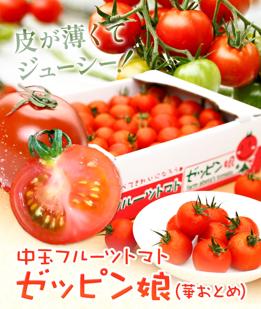 中玉フルーツトマト ゼッピン娘 1.8kg カラフルトマトMIX 1.8kg 計3.6kg 希少な品種 華おとめ 甘い 野菜 結城市産 ゼッピン娘 華おとめ 中玉品種 皮が薄い 薄皮 サラダ 前菜 食材 料理《10月中旬〜
