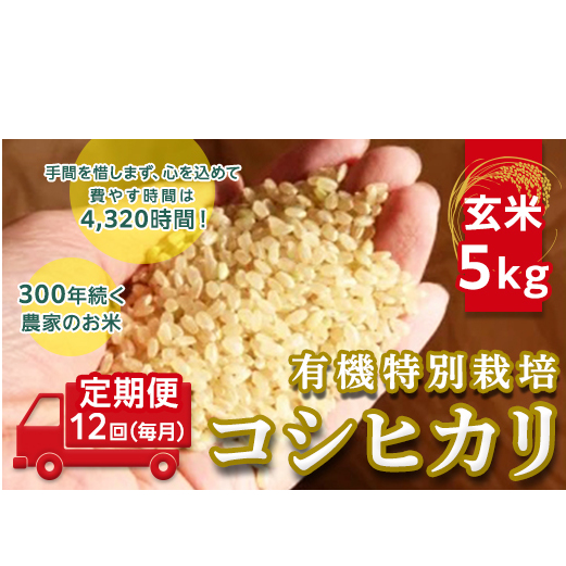 ߘaQNYyցzyāz5kg×12ijOSN_Ƃ̗L@ʍ͔|RVqJ [AC19-NT]錧΂݂炢s96000āEpāEGāEāE