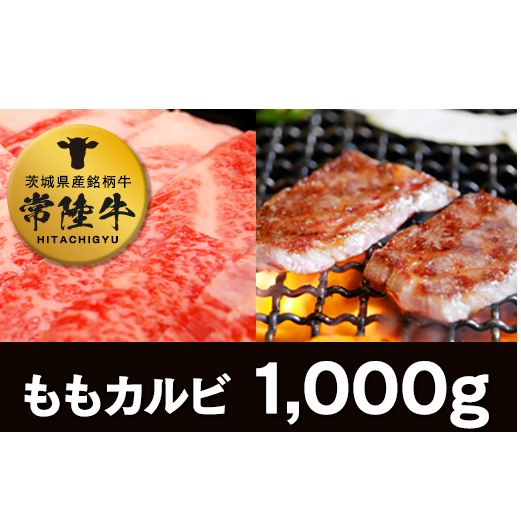 헤JrPkg [AI01-NT]錧΂݂炢s34000