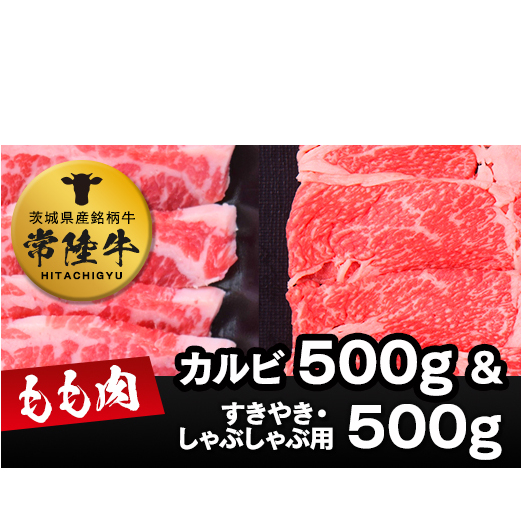 헤Jr500+헤i₫EԂԗpj500 [AI02-NT]錧΂݂炢s33000