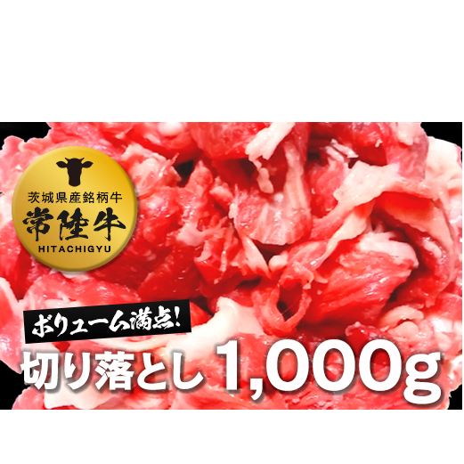 헤؂藎Ƃ1kg [AI06-NT]錧΂݂炢s24000