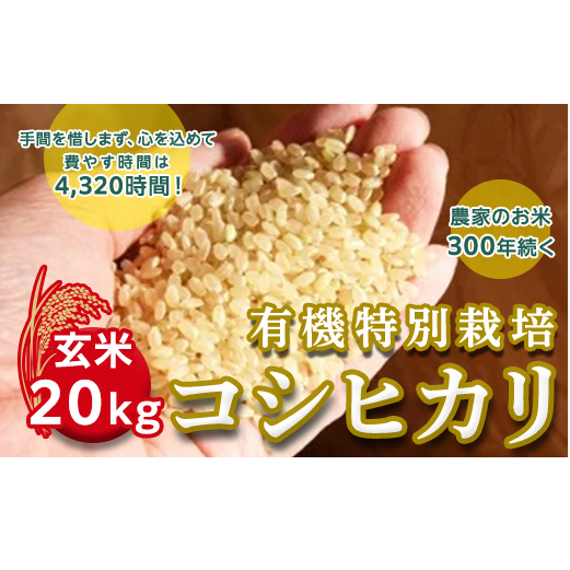 ߘaQNYOSN_Ƃ̗L@ʍ͔|RVqJiyāzQOj [AC04-NT]錧΂݂炢s25000āEpāEGāEāE