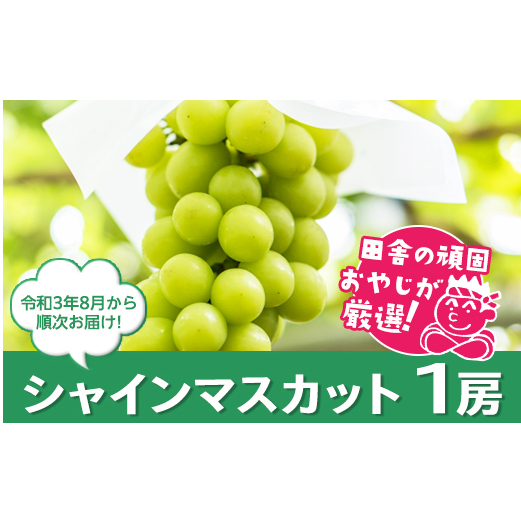 cɂ̊ł₶IIVC}XJbg1[yߘa3N8珇͂z [BI14-NT]錧΂݂炢s10000ʕEt[c