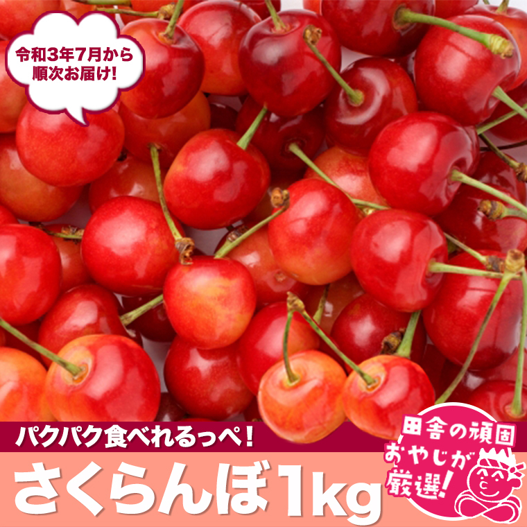 cɂ̊ł₶IIՂ肳1kgyߘa3N7珇͂z [BI51-NT]錧΂݂炢s20000ʕEt[c̑ ʕEt[c
