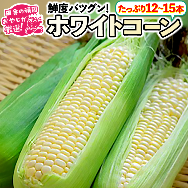 cɂ̊ł₶II낱͂ꂾ؃ZbgIƂ낱izCgR[jyߘa3N7{珇͂z [BI74-NT]錧΂݂炢s17000؁ÊƂ낱