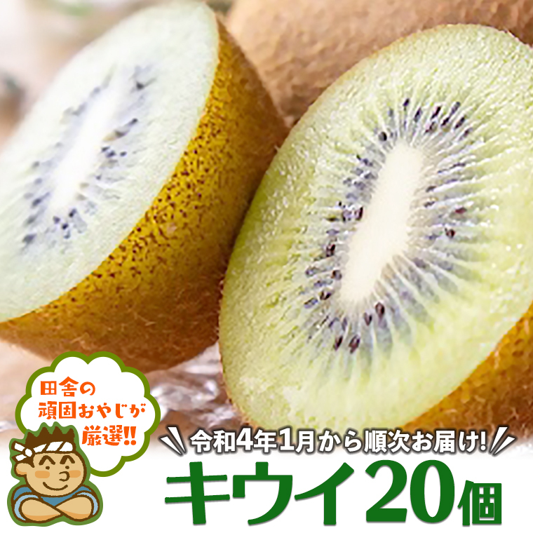 cɂ̊ł₶IILEC20yߘa4N1珇͂z [BI94-NT]錧΂݂炢s10000ʕEt[c