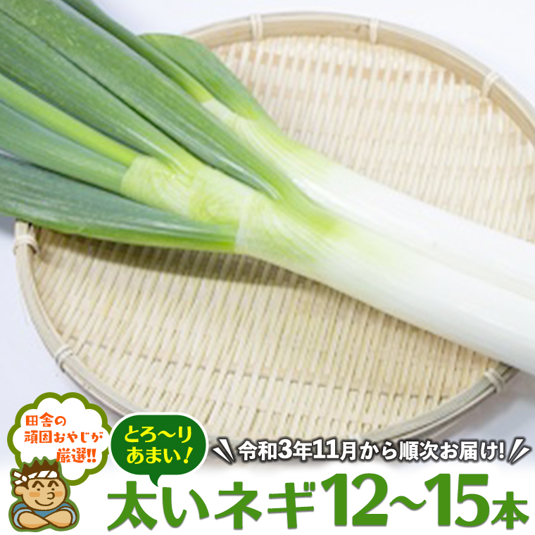 cɂ̊ł₶IIƂ[肠܂lM12`15{yߘa3N11珇͂z [BIA3-NT]錧΂݂炢s14000؁Êʂ˂E˂