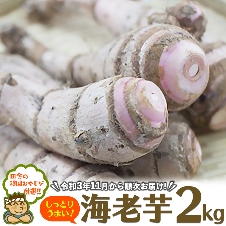 cɂ̊ł₶IIƂ肤܂CVij2kgyߘa3N11珇͂z [BIA4-NT]錧΂݂炢s14000؁Ê