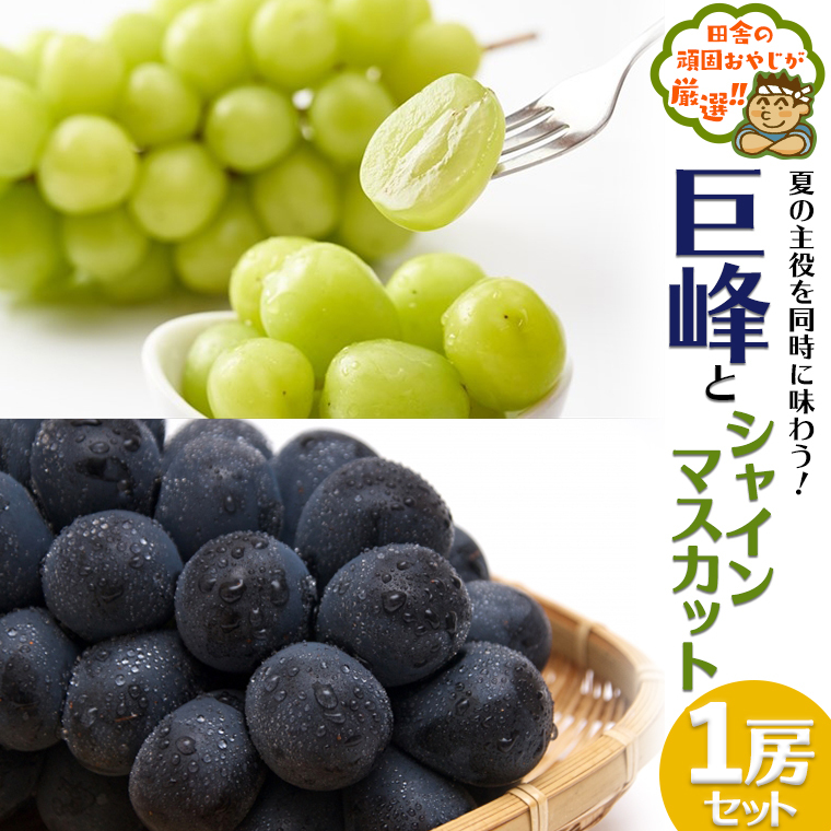 cɂ̊ł₶IIP[ƃVC}XJbgP[Zbgyߘa3N8珇͂z [BIB1-NT]錧΂݂炢s20000ʕEt[c}XJbgEԂǂ
