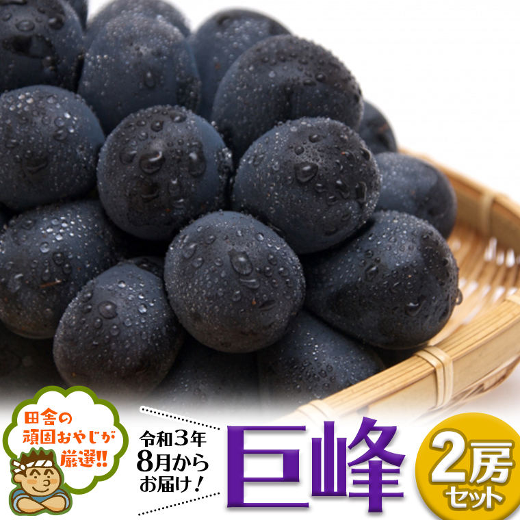 cɂ̊ł₶IIQ[yߘa3N8珇͂z [BIB3-NT]錧΂݂炢s20000ʕEt[c}XJbgEԂǂ