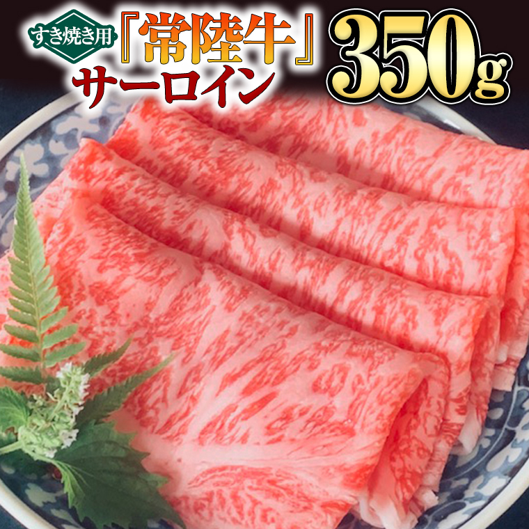 y 헤 z T[CiĂpj350g [BX08-NT]錧΂݂炢s17000