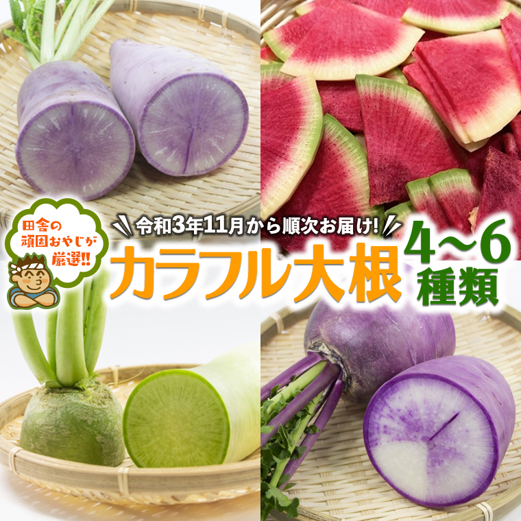 cɂ̊ł₶IIJt卪46yߘa3N11珇͂z [BIB4-NT]錧΂݂炢s10000؁Ê