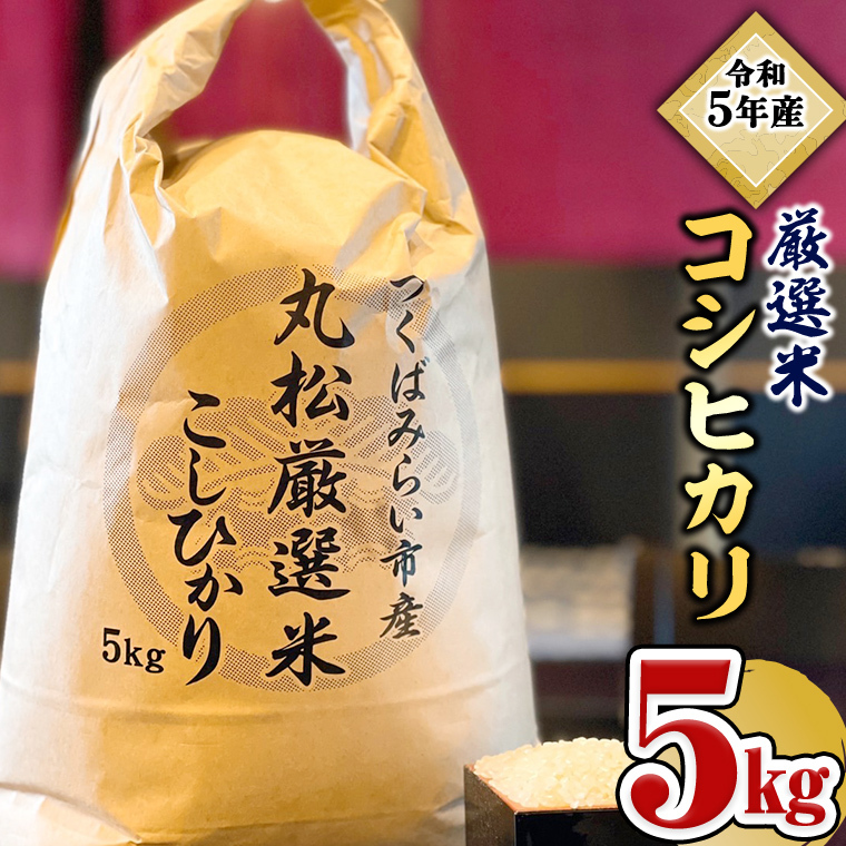 yʌz ߘa5NY ΂݂炢s ۏ I RVqJ 5kg V v[g V KvȂ ֗  Օi l炵 l炵 Kv [AL03-NT]錧΂