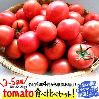 tomatoHה׃Zbg3`5ށE1.52kgyߘa4N4珇͂zcɂ̊ł₶II [BI181-NT]錧΂݂炢s20000؁Êg}g