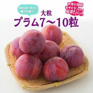 嗱v7`10yߘa4N7菇͂zcɂ̊ł₶II [BI172-NT]錧΂݂炢s17000ʕEt[c̑ ʕEt[c