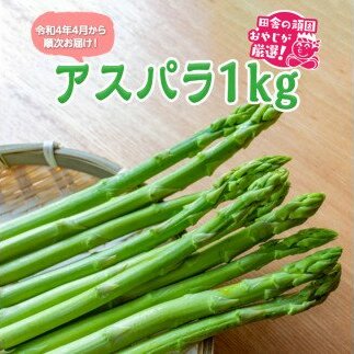 AXp1kgyߘa4N4珇͂zcɂ̊ł₶II [BI167-NT]錧΂݂炢s10000؁Ê̑ 