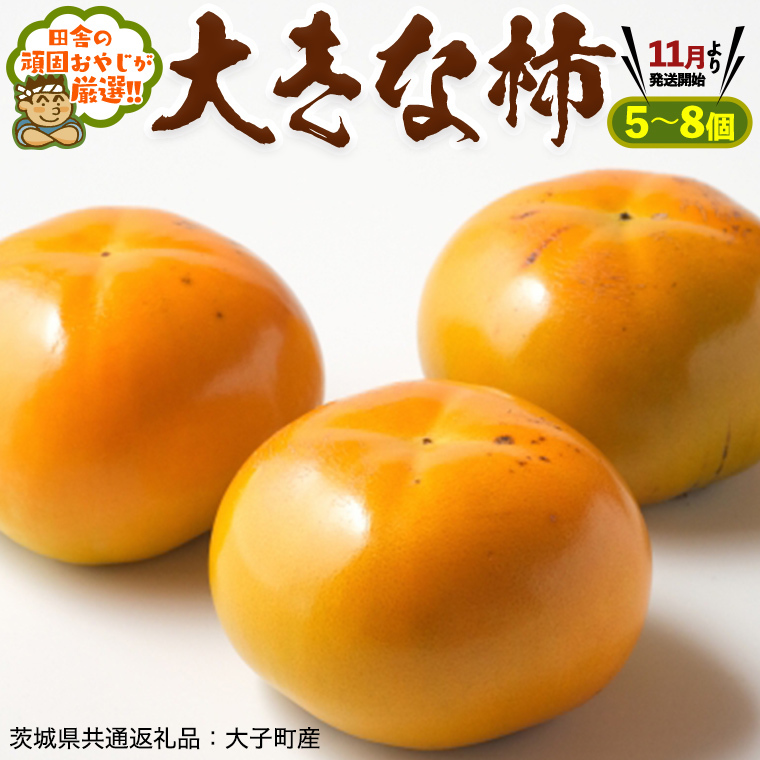 傫 ` 5`8y11蔭Jnzcɂ̊ł₶II i錧ʕԗi [`]FqYj[BI153-NT]錧΂݂炢s15000ʕEt[c̑ ʕEt[c